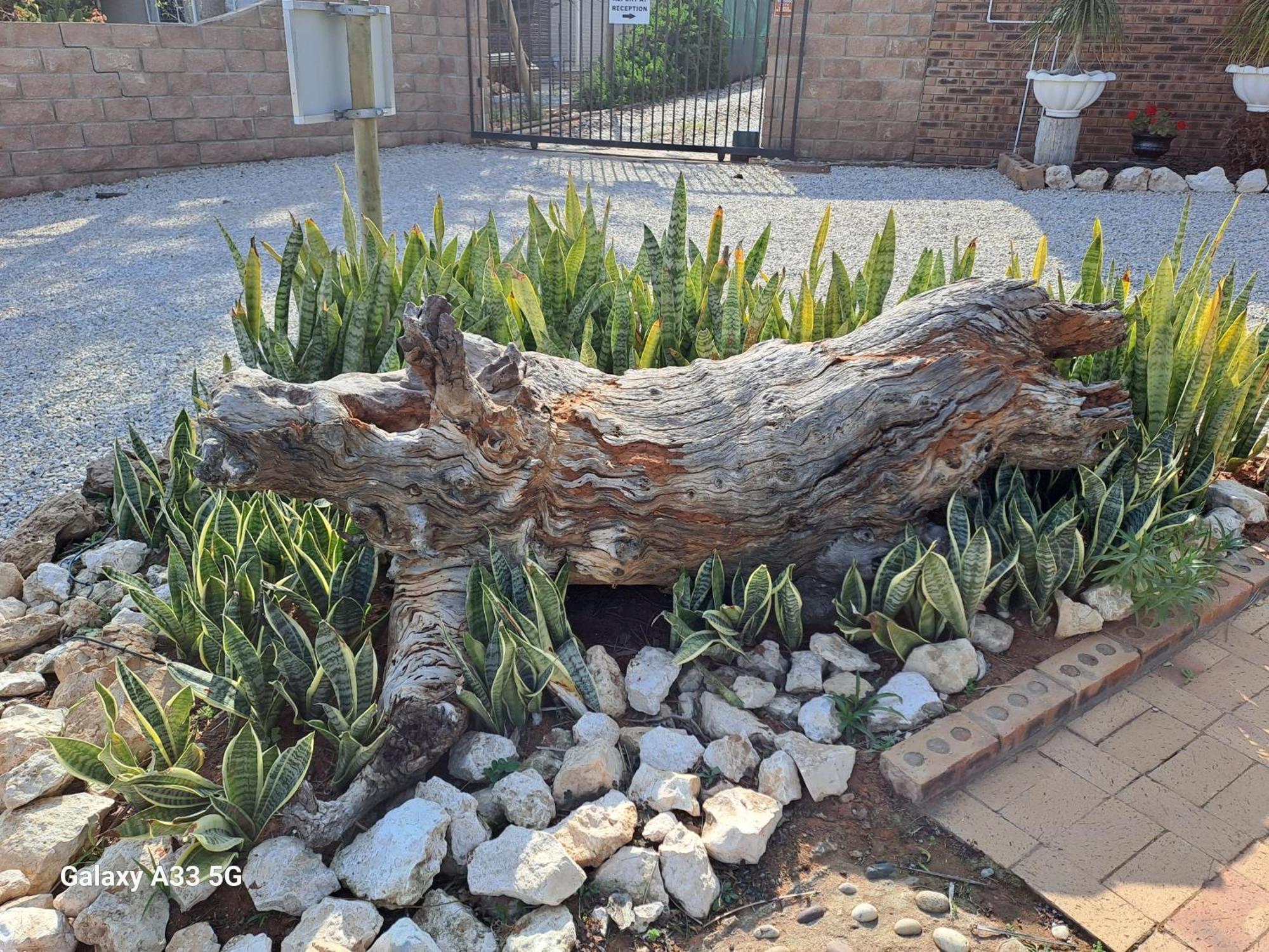 The Golden Grape B&B Lutzville Bagian luar foto